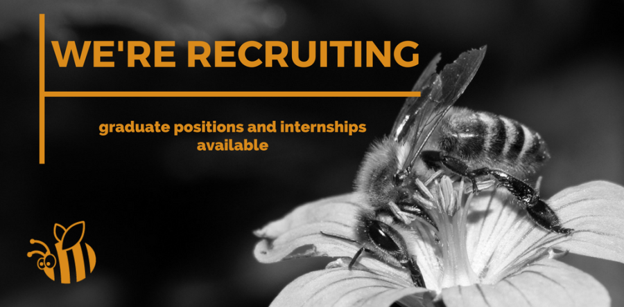 Exciting new graduate positions and internships