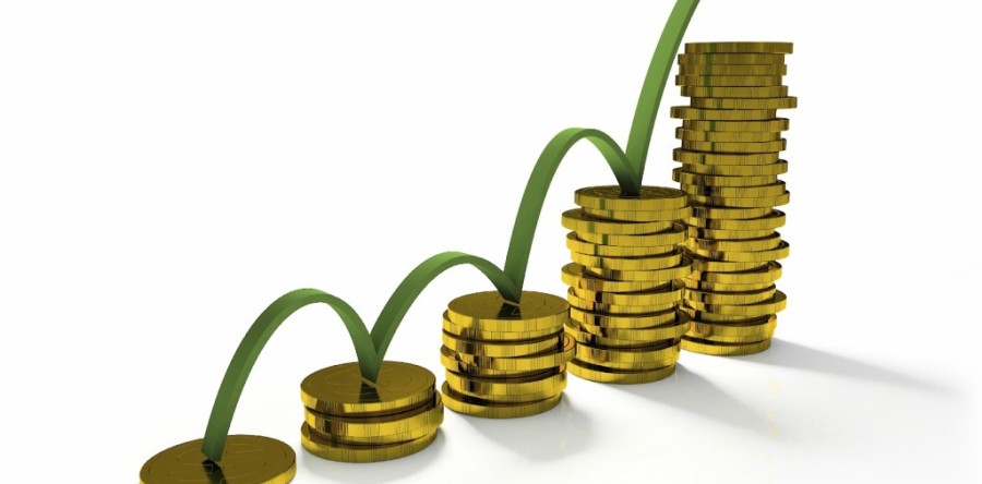 Maximise your business potential