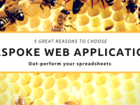 Five great reasons to choose a bespoke web application